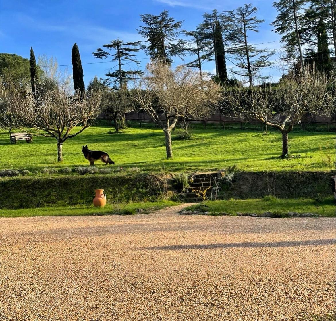 Agriturismo La Corte Del Sole Сиена Экстерьер фото