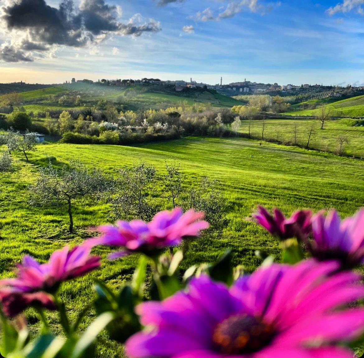 Agriturismo La Corte Del Sole Сиена Экстерьер фото
