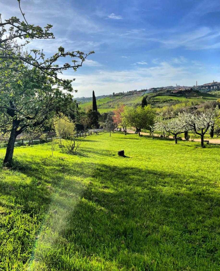 Agriturismo La Corte Del Sole Сиена Экстерьер фото