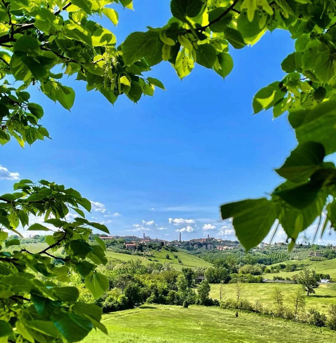 Agriturismo La Corte Del Sole Сиена Экстерьер фото