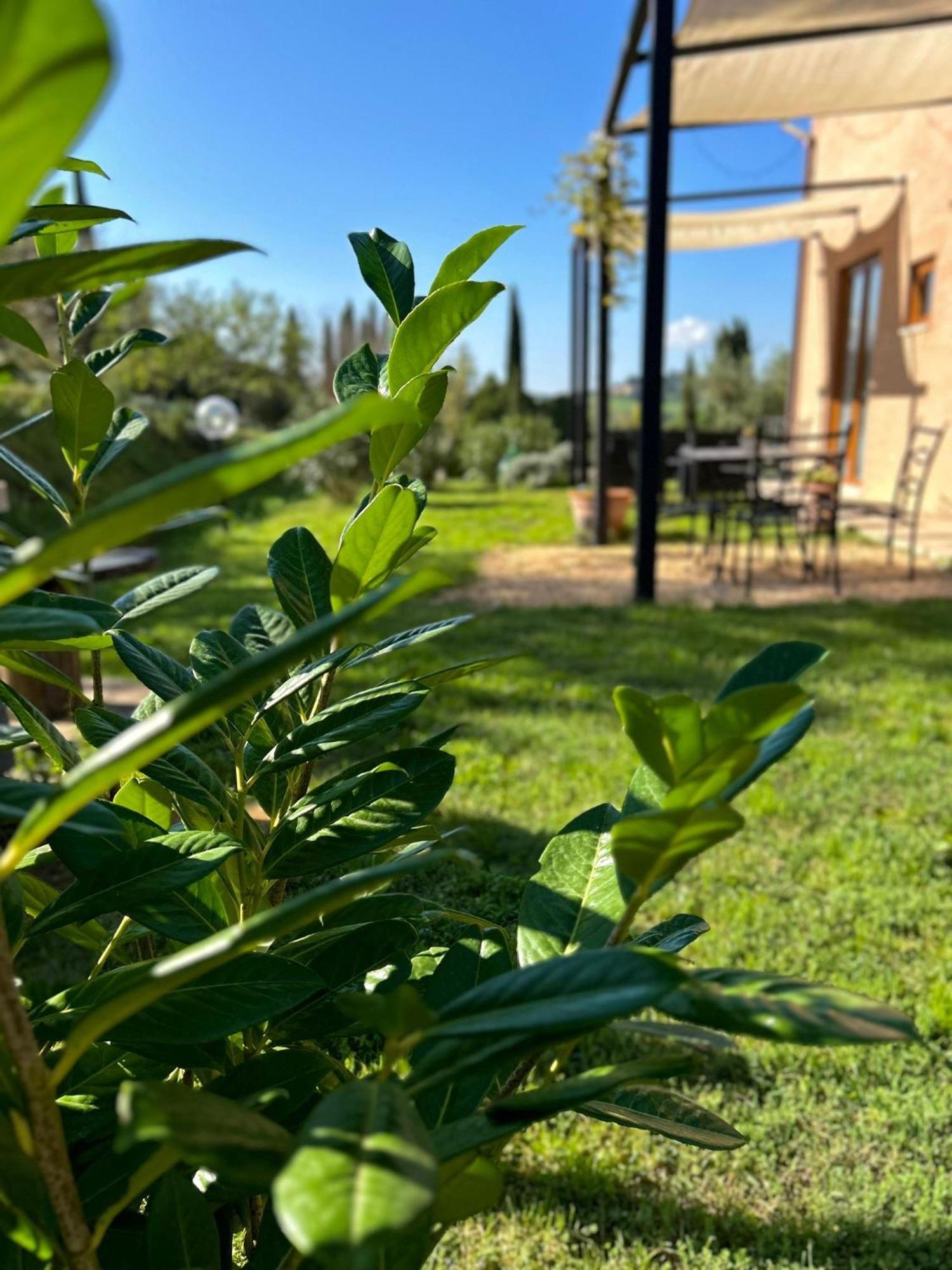 Agriturismo La Corte Del Sole Сиена Экстерьер фото
