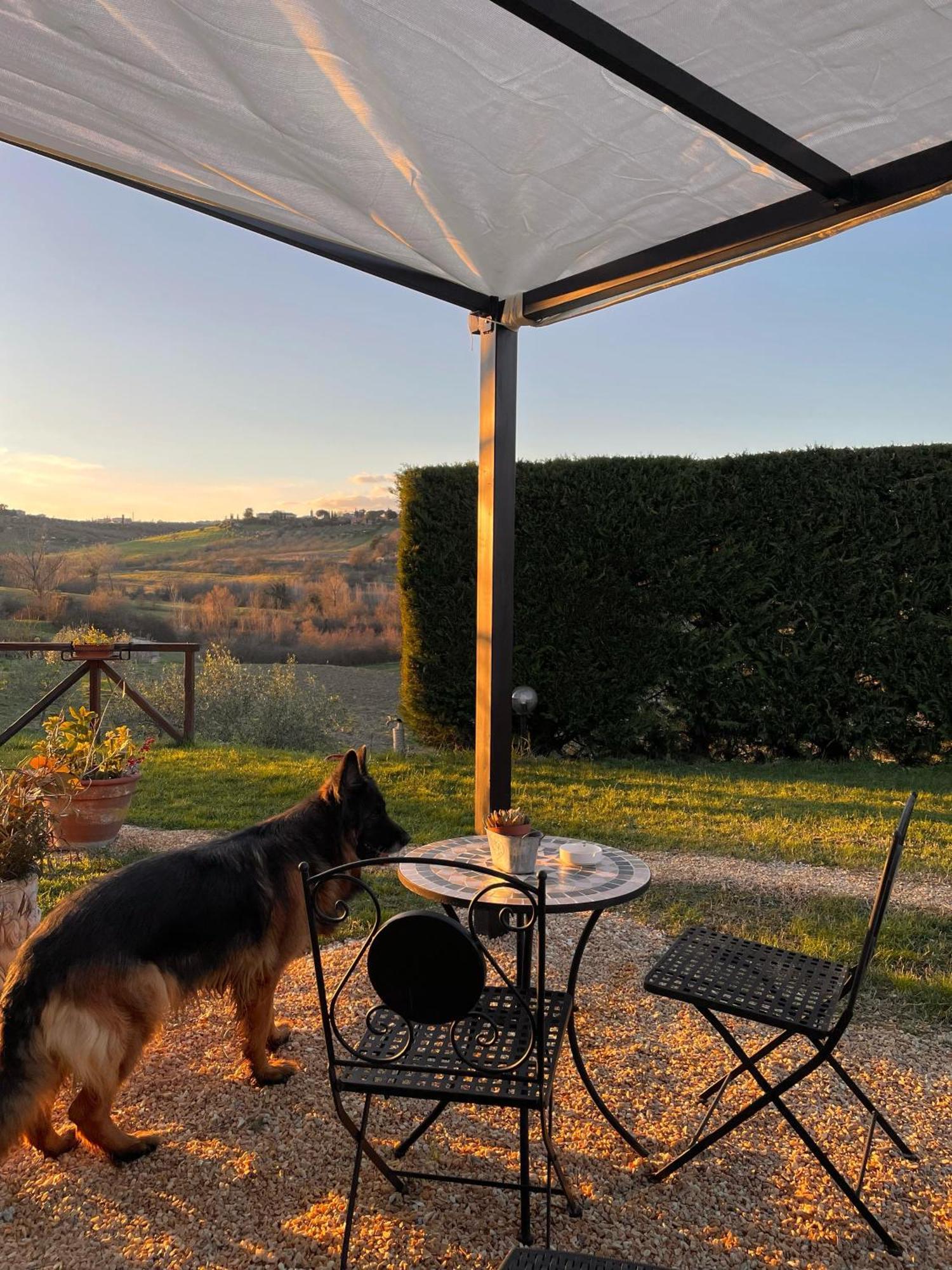Agriturismo La Corte Del Sole Сиена Экстерьер фото
