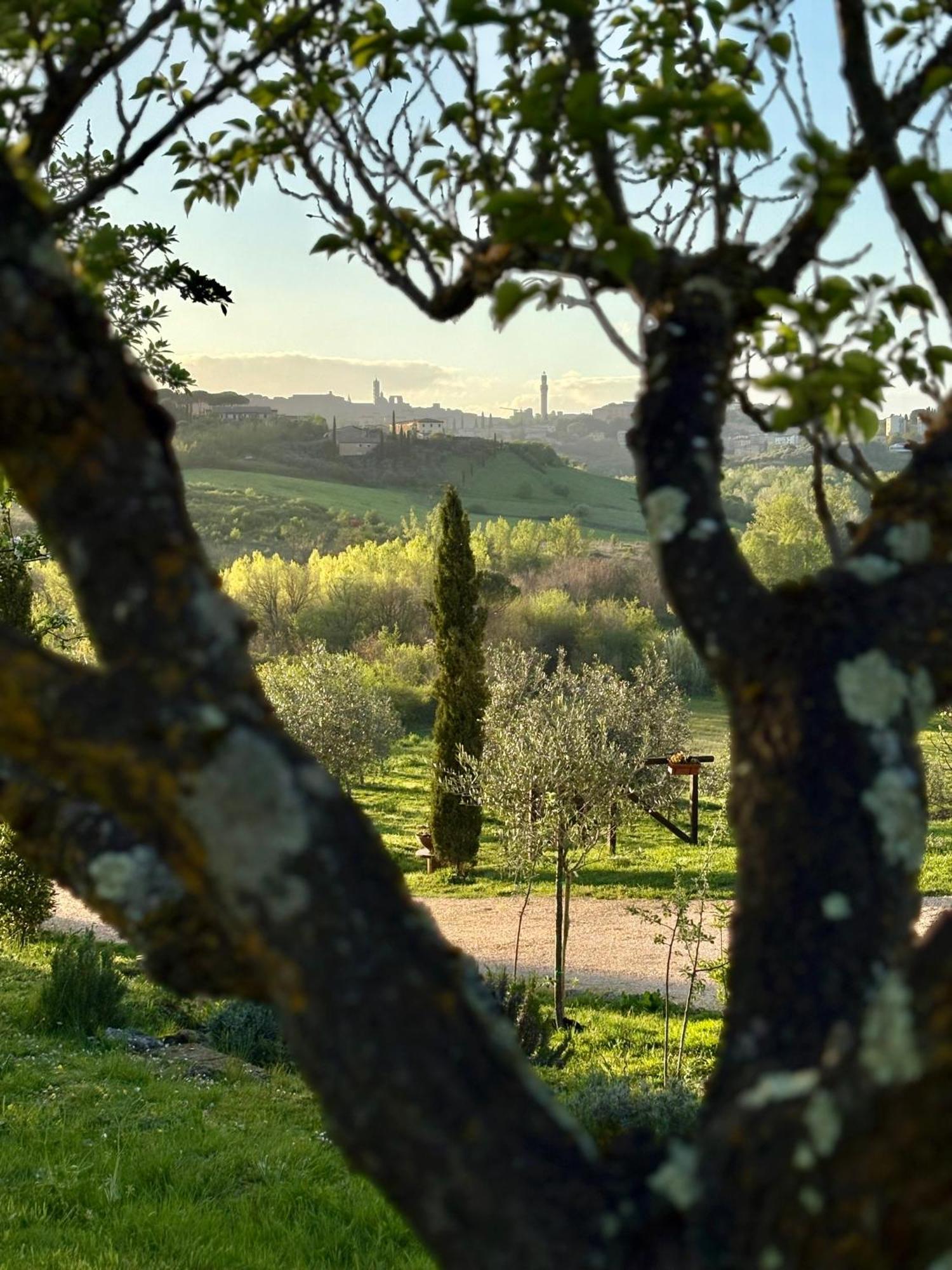 Agriturismo La Corte Del Sole Сиена Экстерьер фото