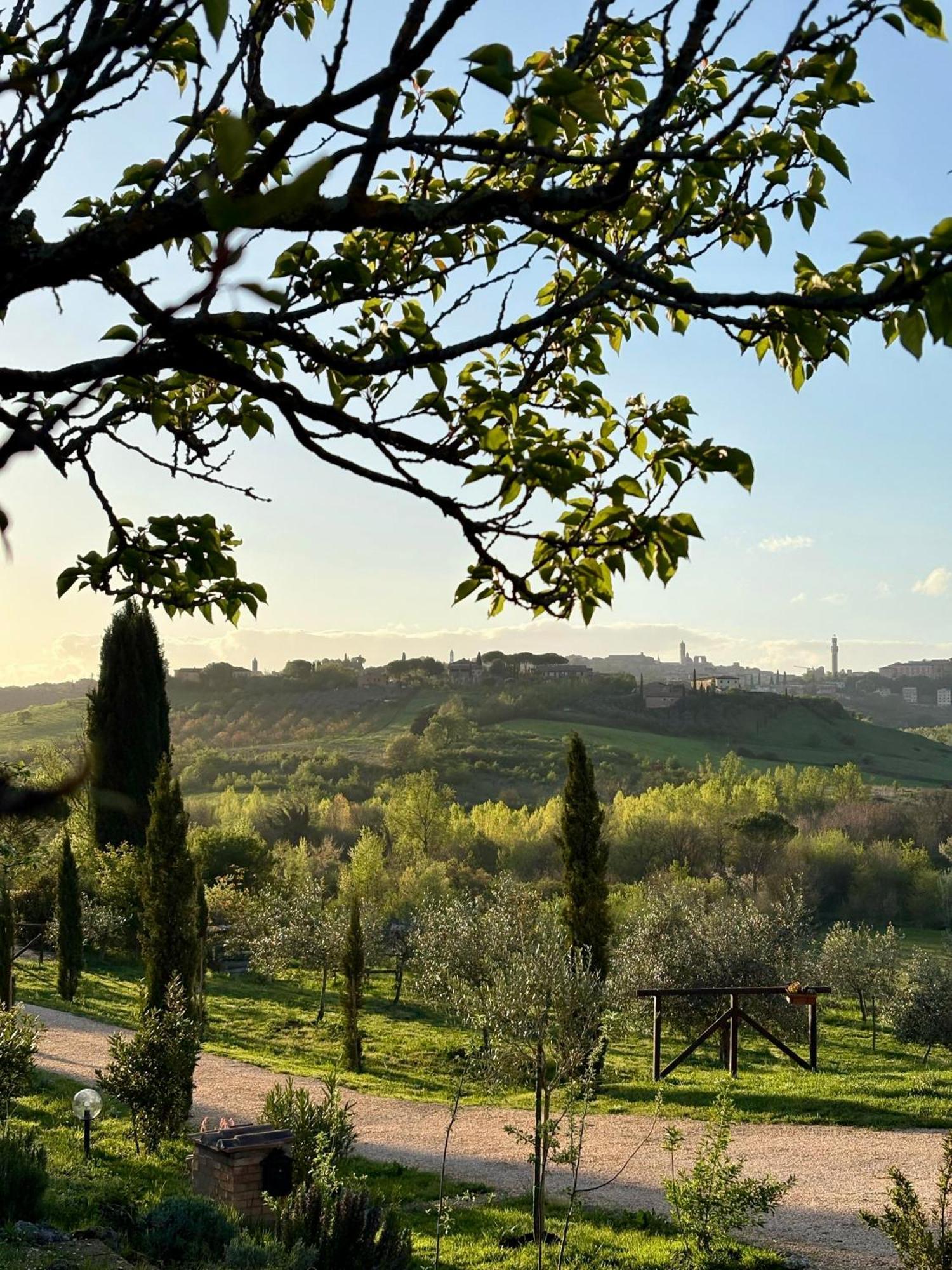 Agriturismo La Corte Del Sole Сиена Экстерьер фото